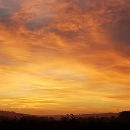 Moorepark West House *