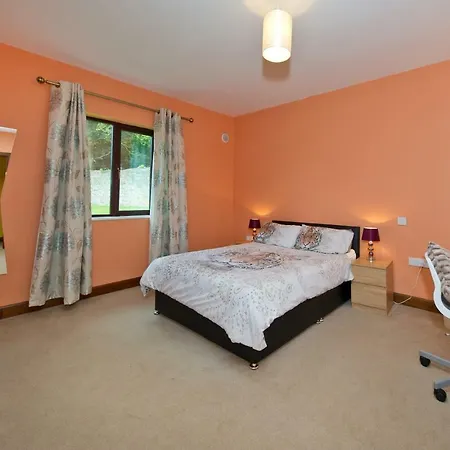 Moorepark West House 弗莫伊