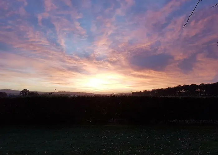 Moorepark West House Homestay *