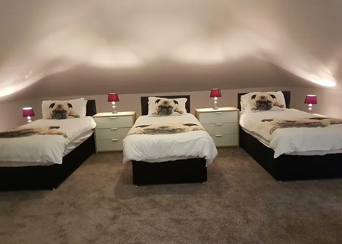 Homestay Moorepark West House